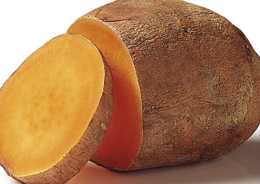 Camote