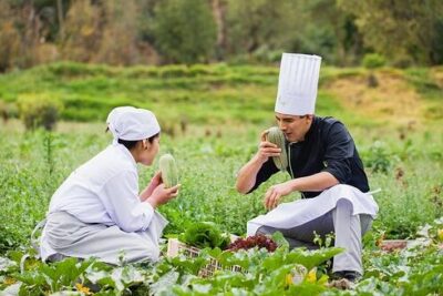 green house restaurant en machupicchu