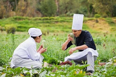 Green House restaurant en machupicchu