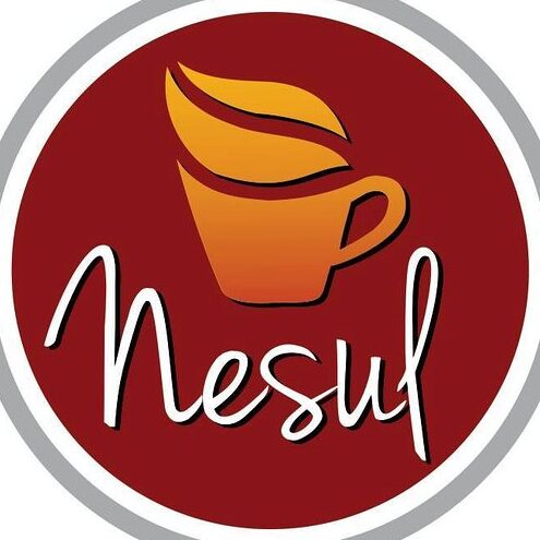 NESUL Huancavelica